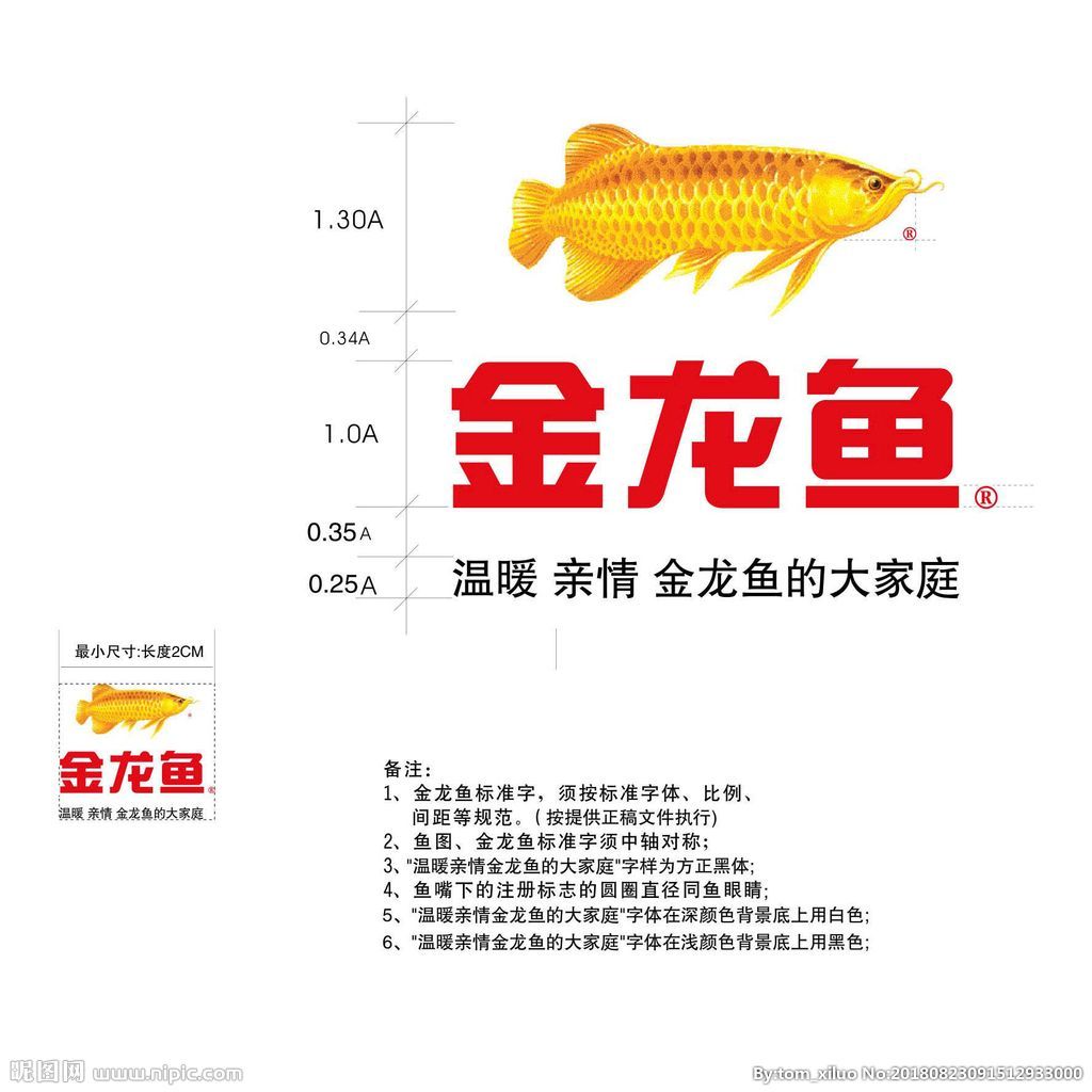 金龍魚能長(zhǎng)多長(zhǎng),多寬,多厚 龍魚百科