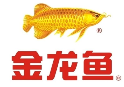 金龍魚會倒閉嗎