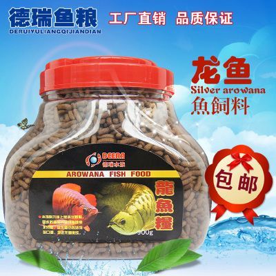 金龍魚一般吃什么飼料 龍魚百科