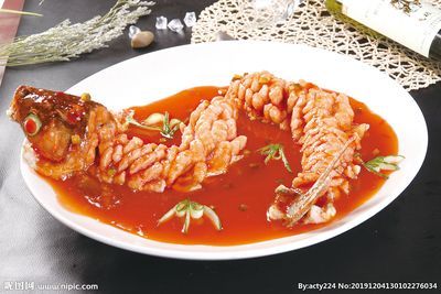 金龍魚(yú)吃什么最好養(yǎng)活 龍魚(yú)百科