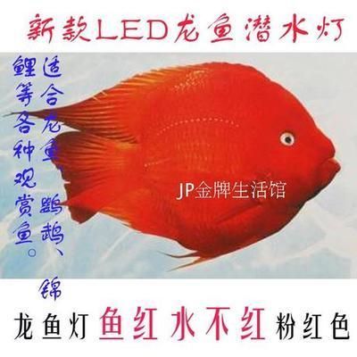 紅龍魚專用燈發(fā)色