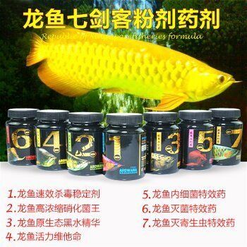 龍魚(yú)常備藥物有哪些