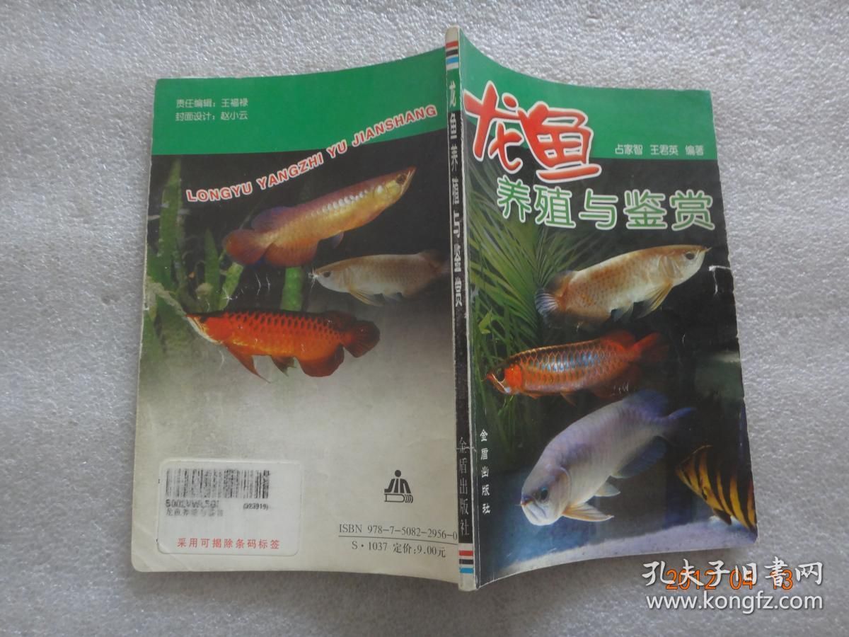 龍魚的鑒賞標(biāo)準9方面 龍魚百科