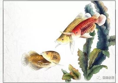 金龍魚國畫作品 龍魚百科