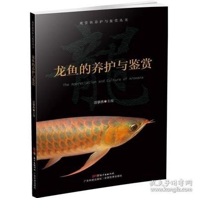 龍魚(yú)的養(yǎng)殖技術(shù)有哪些方法 龍魚(yú)百科