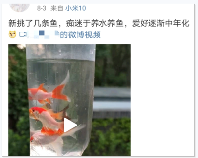 龍魚保護小魚的方法