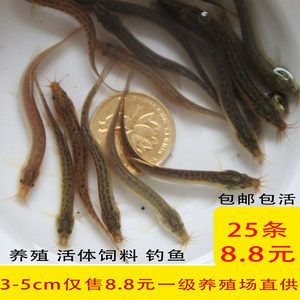 龍魚常見品種飼養(yǎng)與現(xiàn)狀參考文獻(xiàn)有哪些內(nèi)容