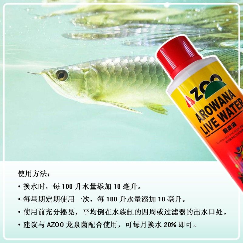 龍魚(yú)都有哪些品牌好用