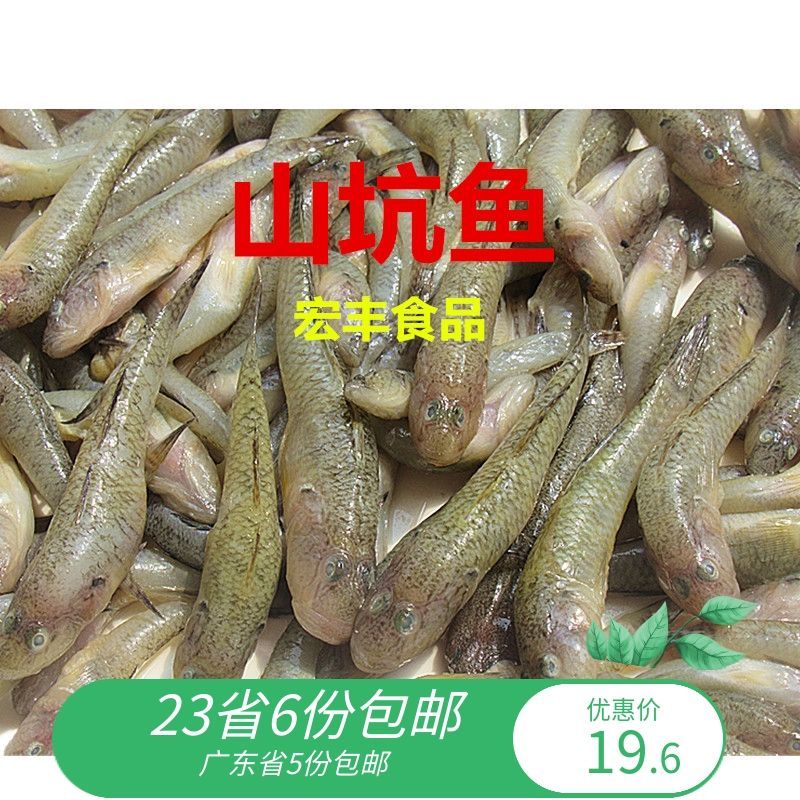 龍魚產(chǎn)品有幾種 龍魚百科