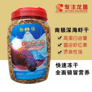 給龍魚喂食飼料的作用與功效 龍魚百科