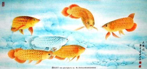 國畫工筆金龍魚作品欣賞