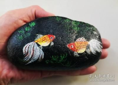 金龍魚石頭畫 龍魚百科