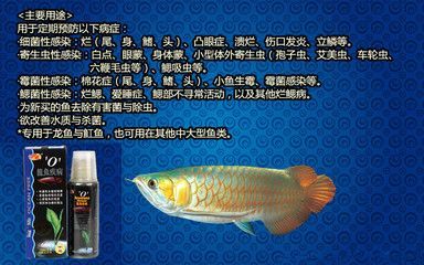 龍魚必備哪三種藥