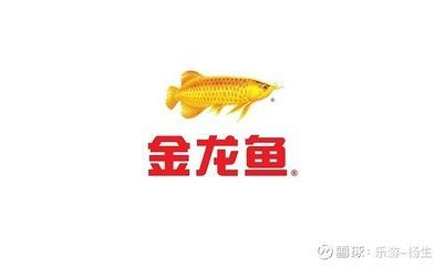 金龍魚害怕 龍魚百科