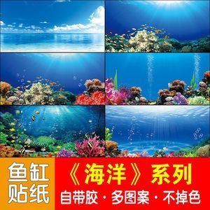 紅龍魚魚缸背景和底色搭配圖 龍魚百科