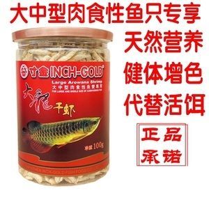 紅金龍魚能吃不 龍魚百科