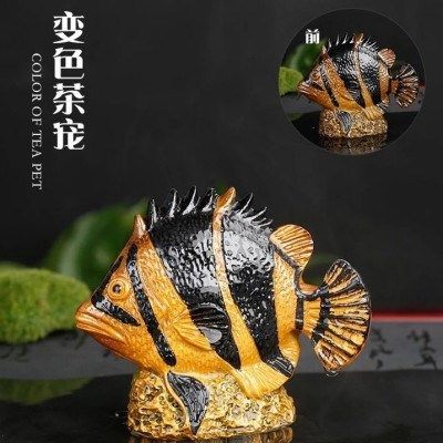 金龍魚會變色嗎