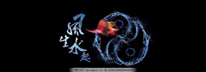 紅龍魚(yú)魚(yú)缸背景