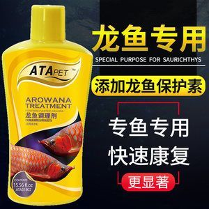 紅龍魚(yú)怎么調(diào)理狀態(tài)