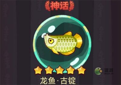 龍魚的搭配 龍魚百科