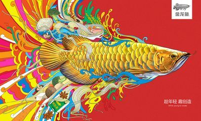 金龍魚圖畫大全簡(jiǎn)單又好看