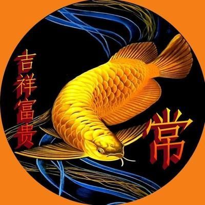 金龍魚(yú)做微信頭像好嗎 龍魚(yú)百科