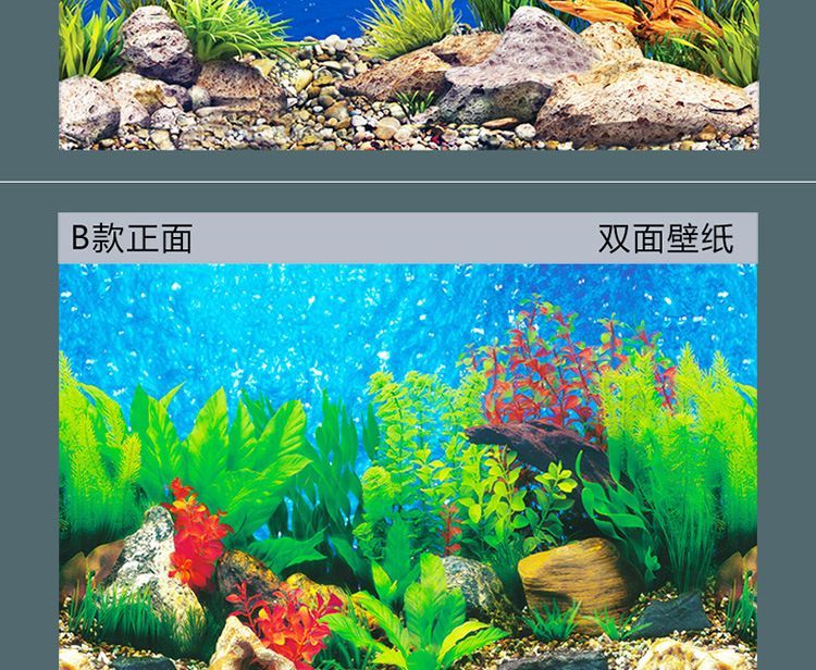 紅龍魚缸背景圖高清