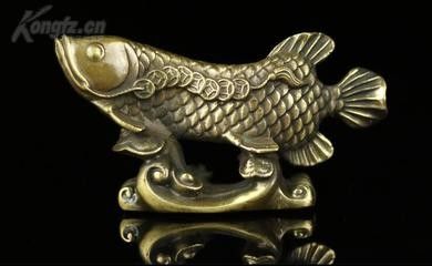 龍魚(yú)的寓意和象征風(fēng)水是什么意思呀 龍魚(yú)百科