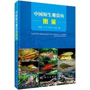 龍魚的養(yǎng)殖技術(shù)與管理論文怎么寫 龍魚百科