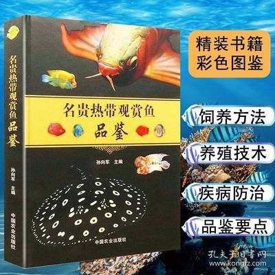 金龍魚飼養(yǎng)技術