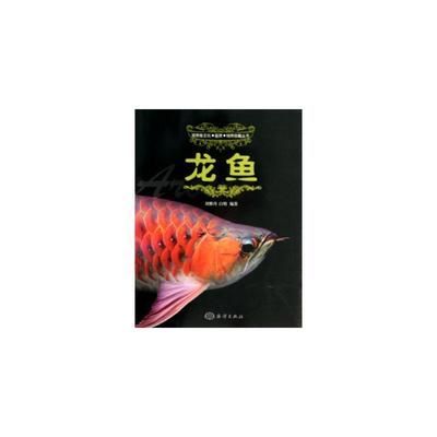 龍魚的鑒賞心得感悟50字 龍魚百科