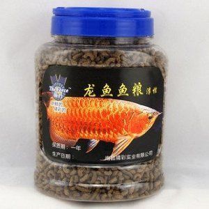 龍魚吃不吃魚糧