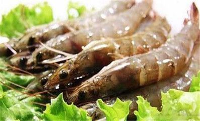 龍魚吃蝦有什么好處 龍魚百科