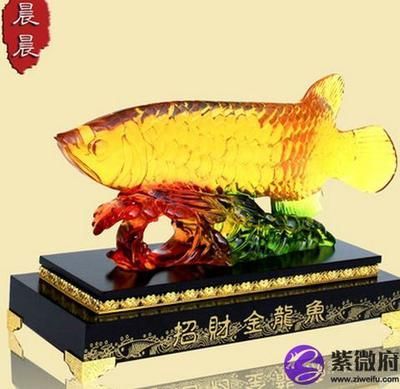 金龍魚擺件的擺放有講究嗎 龍魚百科