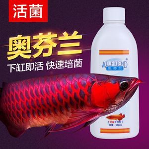 紅龍魚(yú)細(xì)菌感染用什么藥 龍魚(yú)百科