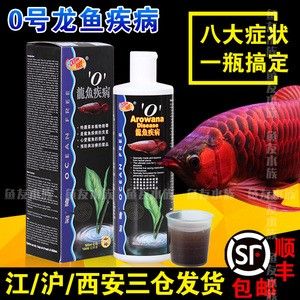 龍魚防掉眼布 龍魚百科