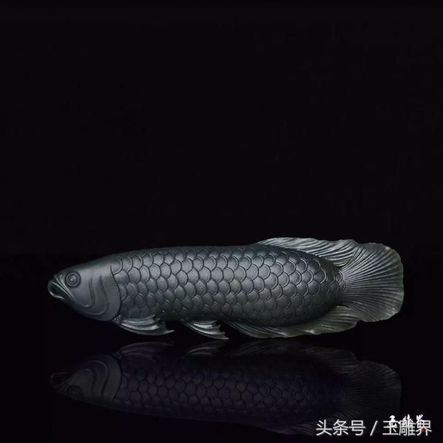 金龍魚作者