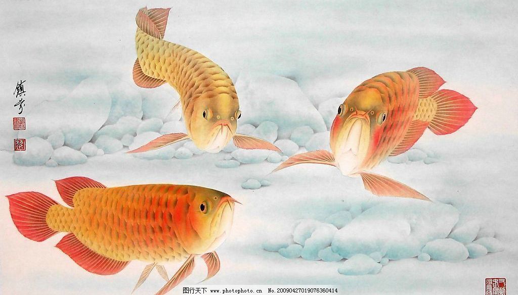 國(guó)畫(huà)工筆金龍魚(yú)怎么畫(huà)的好看 龍魚(yú)百科 第2張