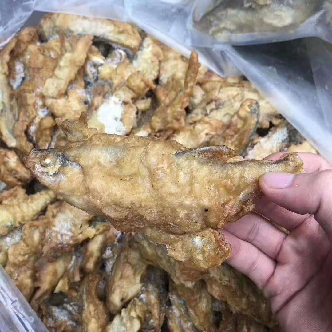 地攤小龍魚 龍魚百科 第2張