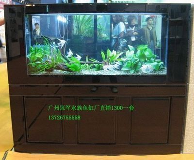 荊門魚缸批發(fā)市場 全國觀賞魚市場 第1張