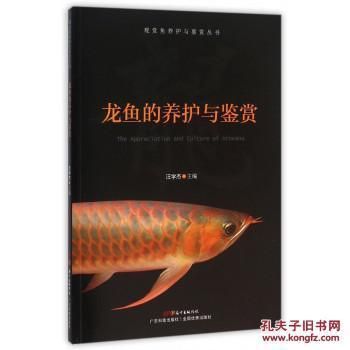 金龍魚怎么養(yǎng)顏色好看 龍魚百科 第1張