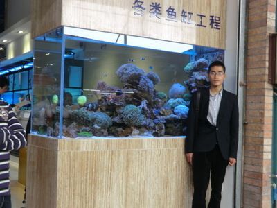 丹東水族批發(fā)市場 全國觀賞魚市場 第3張