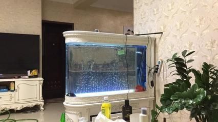 養(yǎng)龍魚可以用水妖精嗎 龍魚百科 第2張