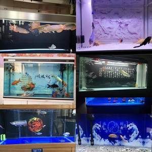 森森魚缸售后服務(wù)電話寧波店 森森魚缸