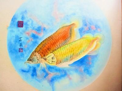 金龍魚國畫落款寫什么好 龍魚百科