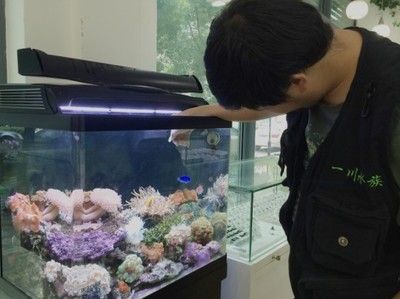 上海水族批發(fā)市場