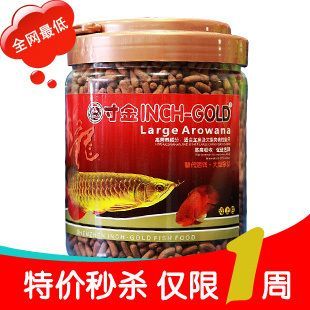 龍魚最愛吃什么飼料呢