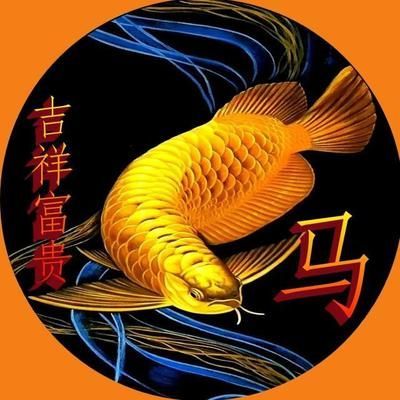 金龍魚的吉祥語言 龍魚百科