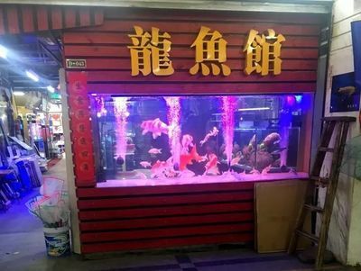 賣龍魚的店叫什么店名