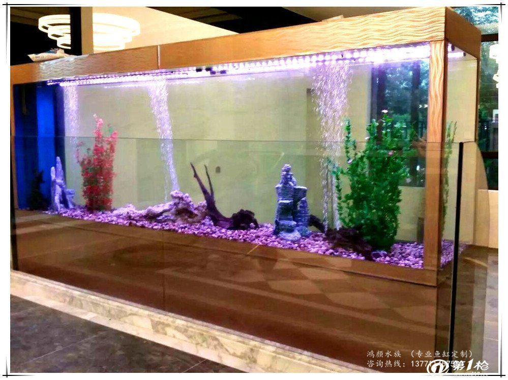 養(yǎng)龍魚的魚缸怎么造景